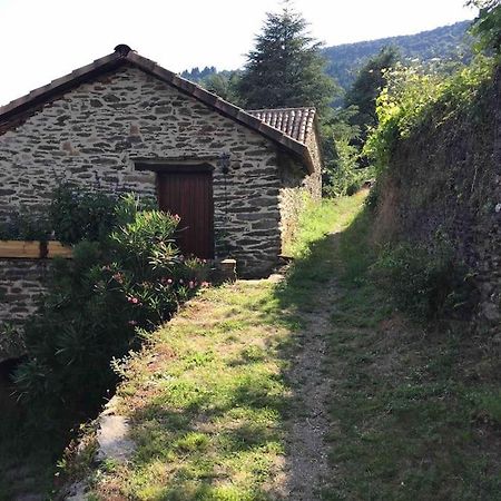 Maison Rurale Au Coeur Des Cevennes Ardechoises Dompnac المظهر الخارجي الصورة