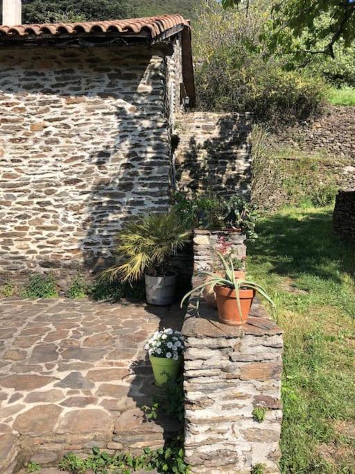 Maison Rurale Au Coeur Des Cevennes Ardechoises Dompnac المظهر الخارجي الصورة