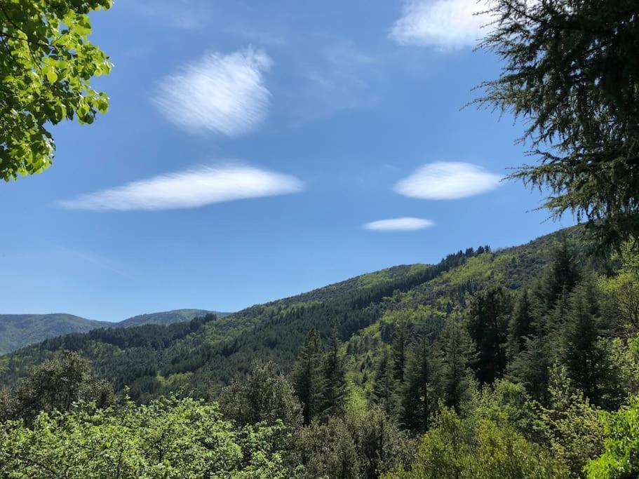 Maison Rurale Au Coeur Des Cevennes Ardechoises Dompnac المظهر الخارجي الصورة