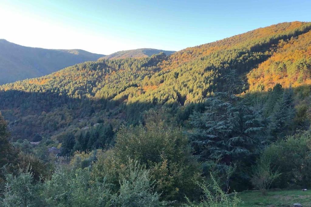 Maison Rurale Au Coeur Des Cevennes Ardechoises Dompnac المظهر الخارجي الصورة